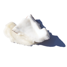 COCONUT FRUIT CONDITIONERS